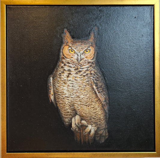 Great Horned Owl