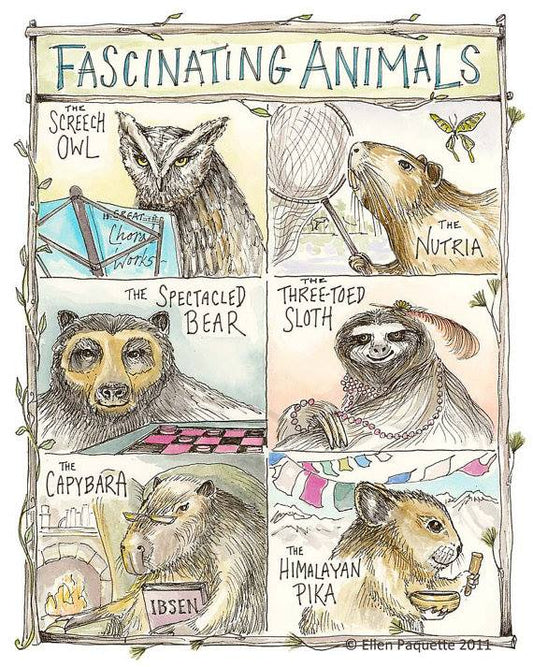 Fascinating Animals Print