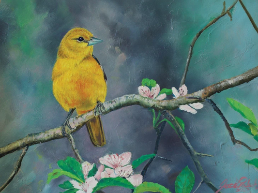 Mrs. Oriole | Original