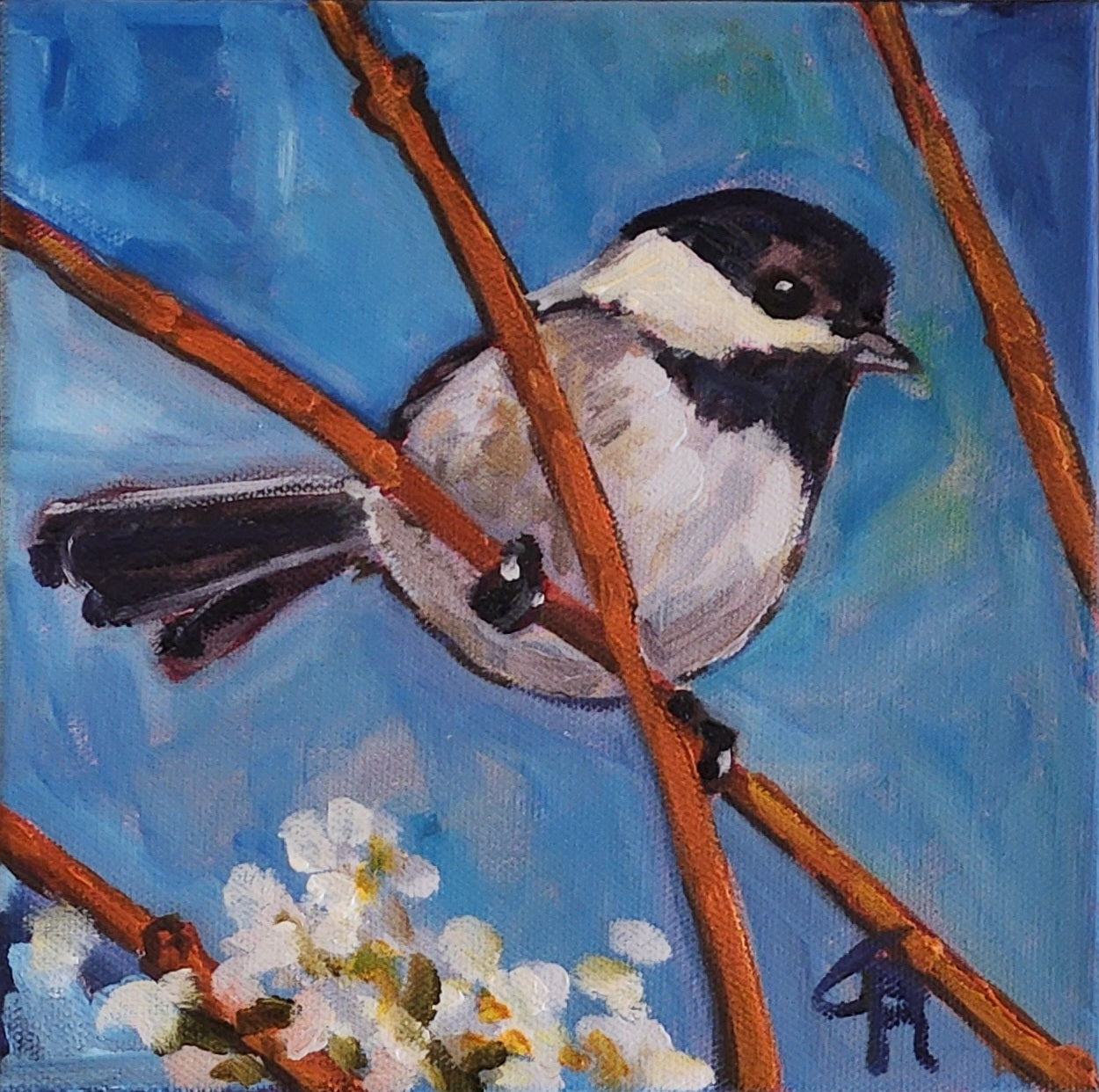 Chickadee