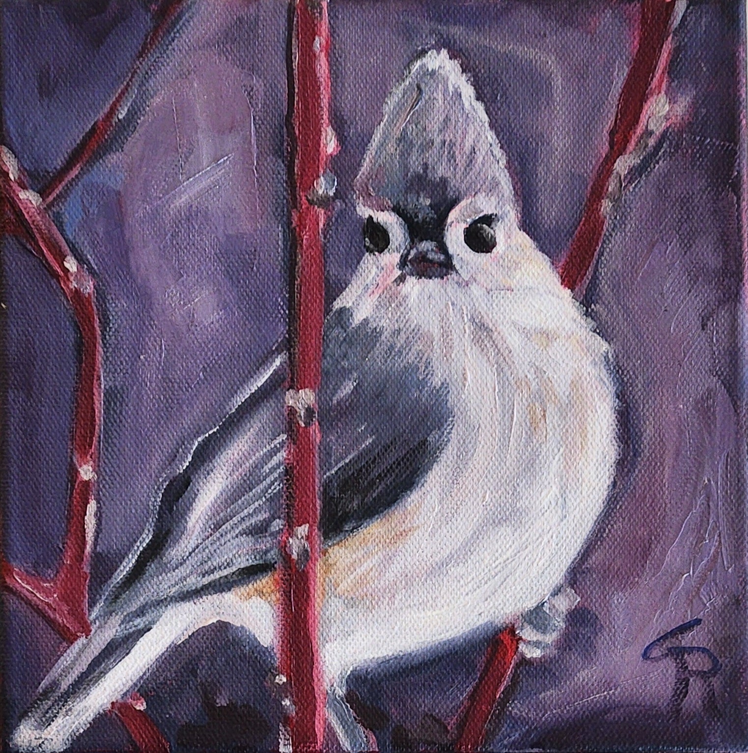 Tufted Titmouse – Painted Finch Gallery